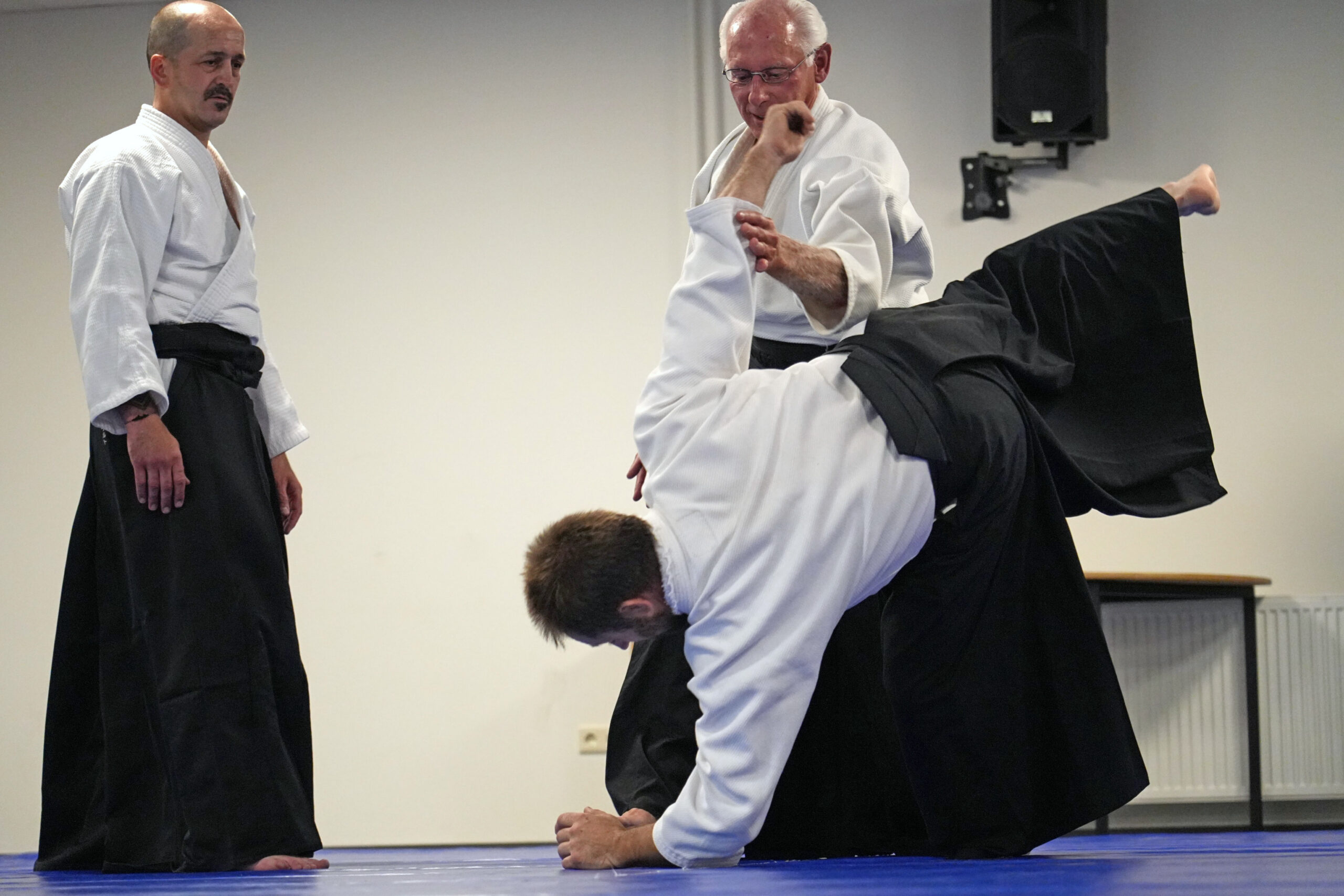 Aikidocentrum Brabant - Samen groeien