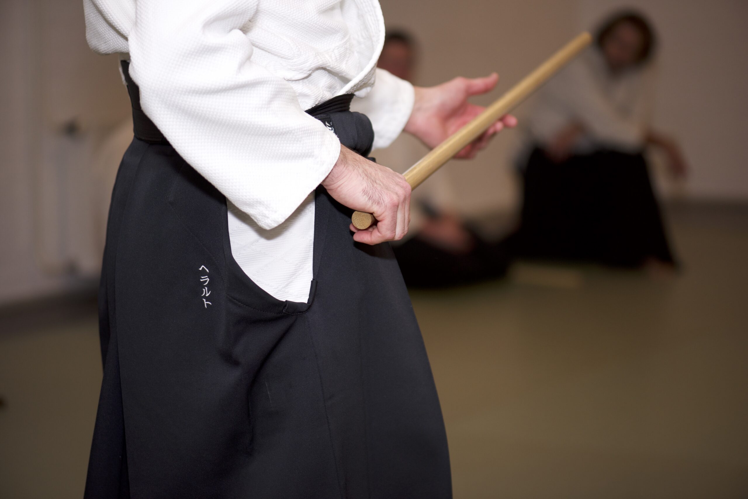 Aikidocentrum Brabant - Beheersing en controle